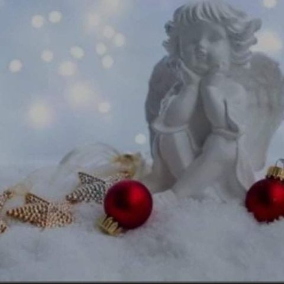 Meet your Posher, Dorvalina - Picture 1 of 1